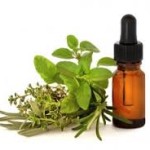 Formation en "aromathérapie" à l'IFAPME de Marche formation-en-aromath%c3%a9rapie-%c3%a0-lifapme-de-marche