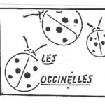 Le service "Les Coccinelles" recrute des accueillantes d'enfants le-service-les-coccinelles-recrute-des-accueillantes-denfants