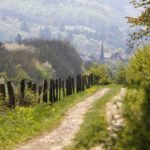 Calendrier fermeture promenades (chasse) calendrier-fermeture-promenades-chasse