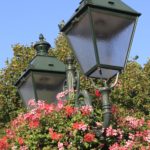 Concours « Marche, Commune Verte et Fleurie » 2017 concours-%c2%ab-marche-commune-verte-et-fleurie-%c2%bb-2017