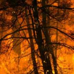 Prévention incendies : arrêté de police du Gouverneur pr%c3%a9vention-incendies-arr%c3%aat%c3%a9-de-police-du-gouverneur
