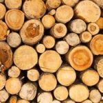 Vente publique de bois marchands vente-publique-de-bois-marchands