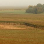 Terrains agricoles : contrats de commodat terrains-agricoles-contrats-de-commodat