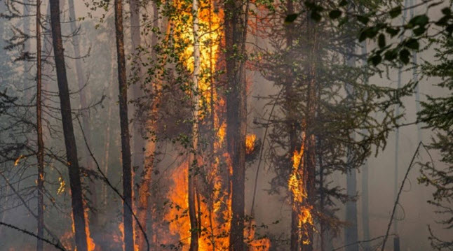 Canicule : risque d'incendie, arrêtés du Gouverneur et du Bourgmestre