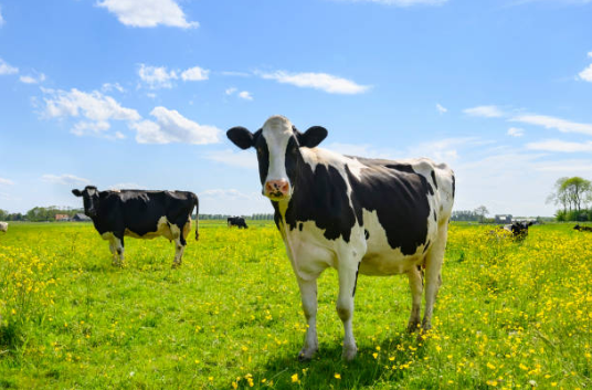 Article thumbnail