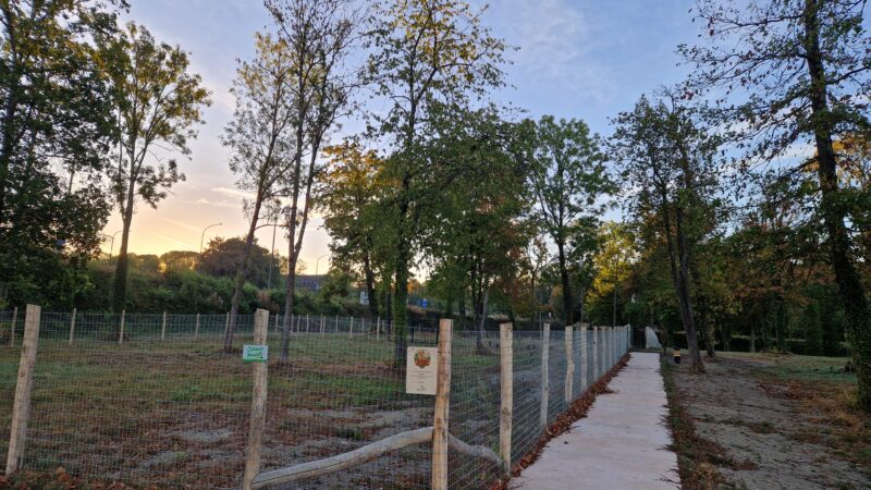 Inauguration du parc canin (samedi 10 octobre)