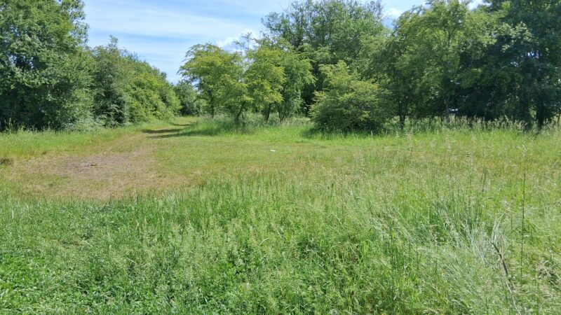 Atelier nature participatif (3 octobre)